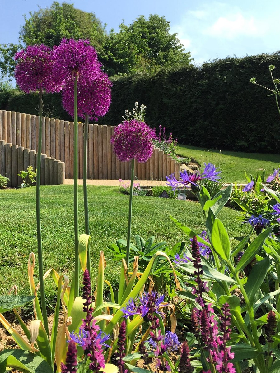 Maintanance SQL Photography