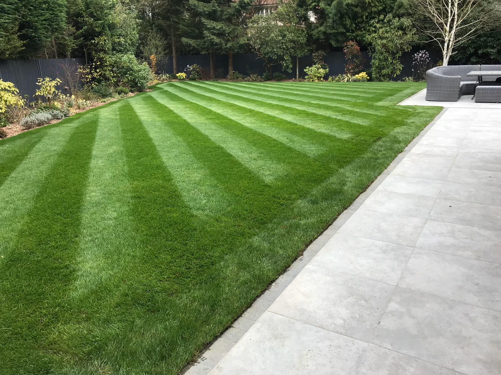 Maintanance SQL Photography